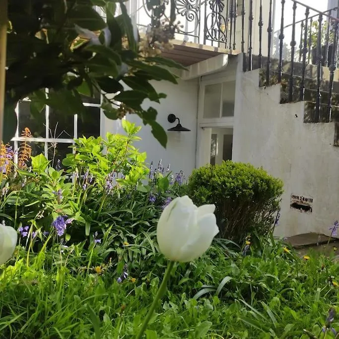 Perfect Brighton Getaway Near Beach, Town, Station 英国